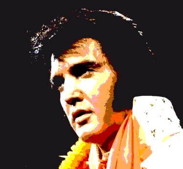 The Elvis Festival