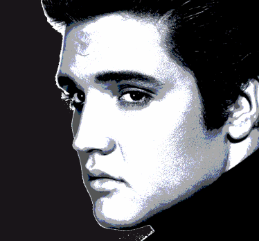 The Elvis Festival